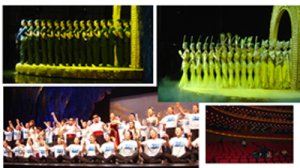 ҴԺҕlg(sh)֧ĿAMY(ji)