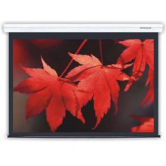 Cyberϵ100늄(dng)Ļ