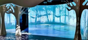 (chung)Ӱ g ِͶӰC(j)ɫС(zhn)չdµ