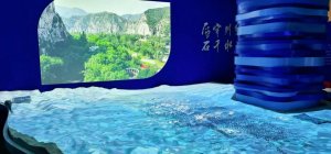 ِ⹤ͶӰCڳԁˮˮչʾ^